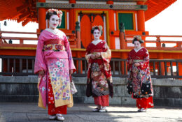 Japan_Sakura_2025 (68/79)